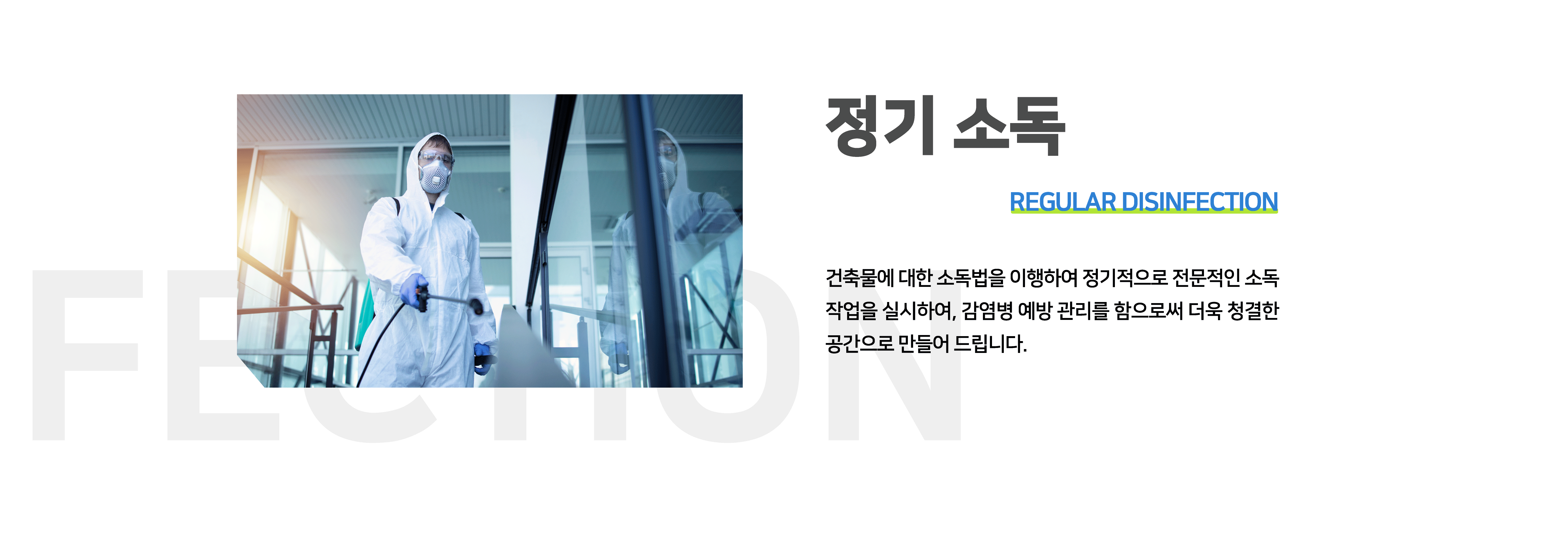 정기 소독 - REGULAR DISINFECTION